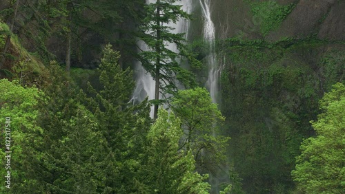 enchanting waterfall in vibrant forest multnomah falls oregon SBV 347749061 4K  photo
