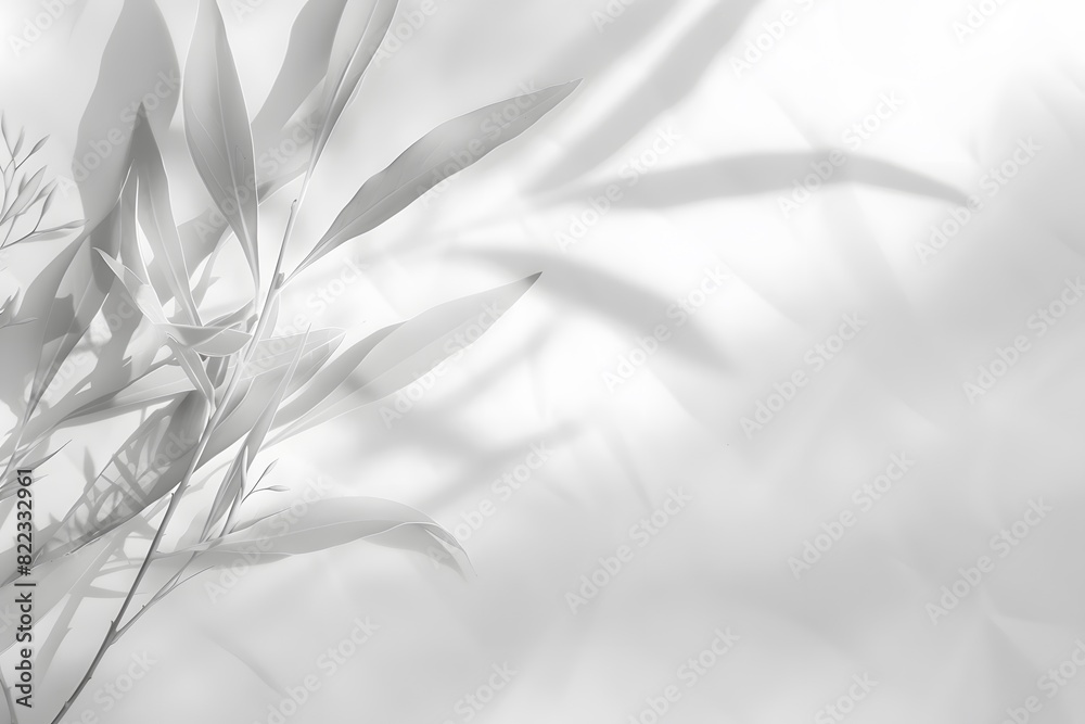 Minimalist White Background with Soft Plant Shadows Minimalist White Background with Soft Plant Shadows