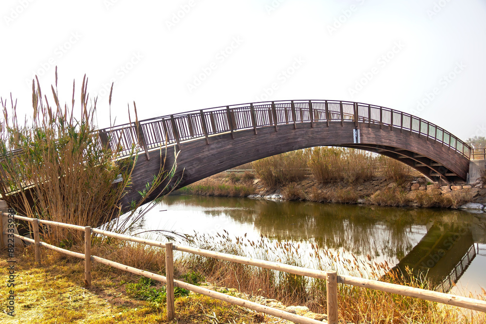 Fototapeta premium wooden bridge on nature trail