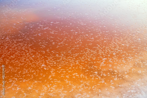 Mineralogy. Shore of hypersalted lake with deposition of salt crystals (iodine-bromine, boric-chloride magnesium-sodium brine). Red-brown water is determined by bacterias Dunaliella salina photo