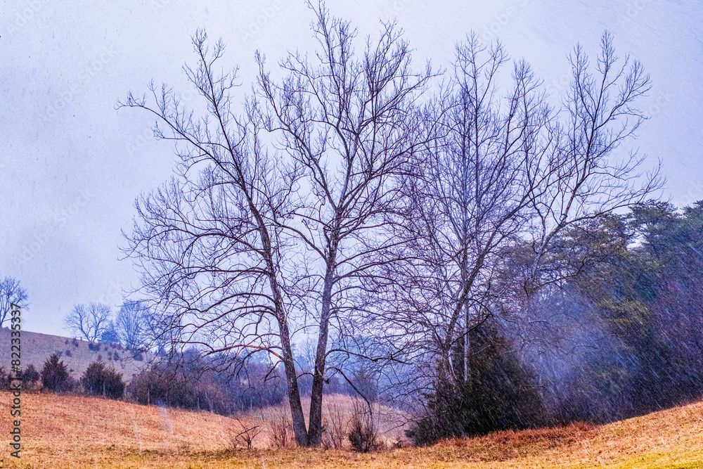 Winter rain and mist partially obscure Virginia rural landscape. Winter rain and mist partially obscure Virginia rural landscape.