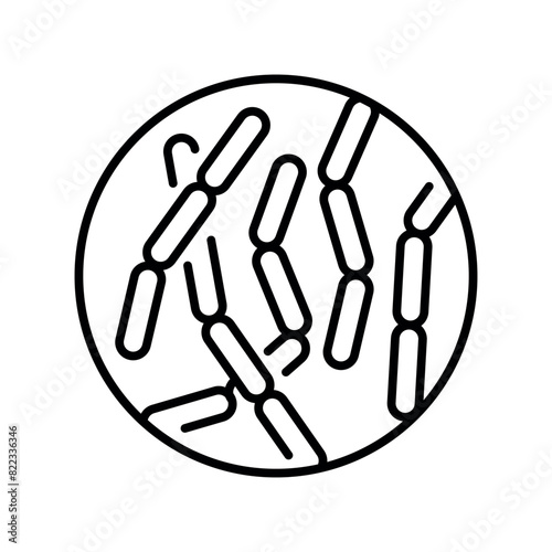 Bulgaricus line black icon. Microscopic probiotics. Sign for web page, mobile app, button, logo. Vector isolated button.