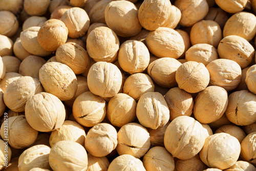 Close-Up View of Walnut Shells in Natural Light Creating a Textured Background photo