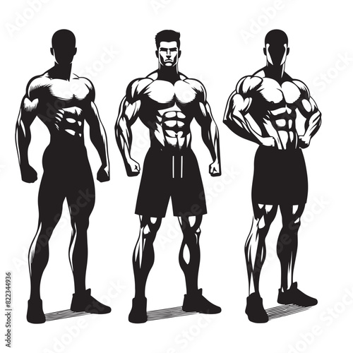 a clean body builder vector lines ,Muscular man in different poses showing muscles, Silhouettes athletes bodybuilding, Muscular bodybuilder vector silhouette illustration	