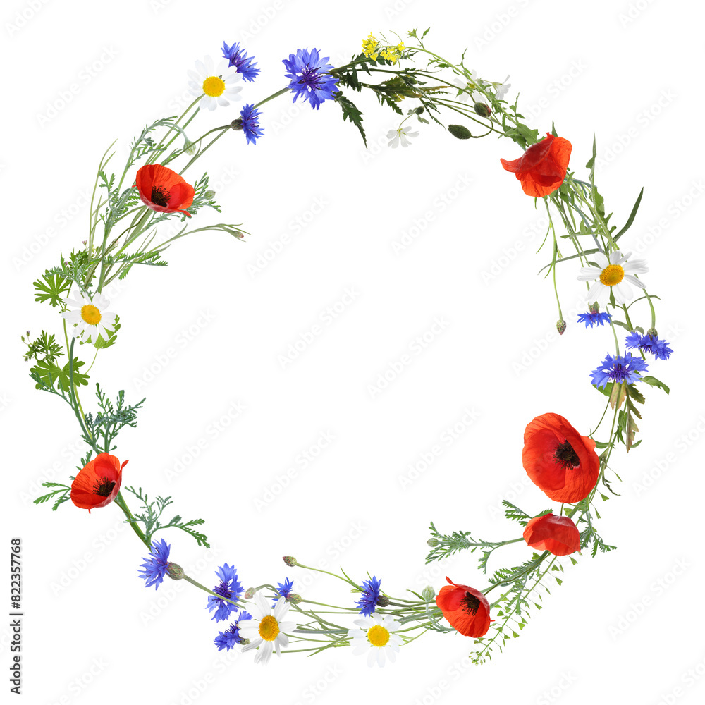 Fototapeta premium Wreath of beautiful wild flowers isolated on white