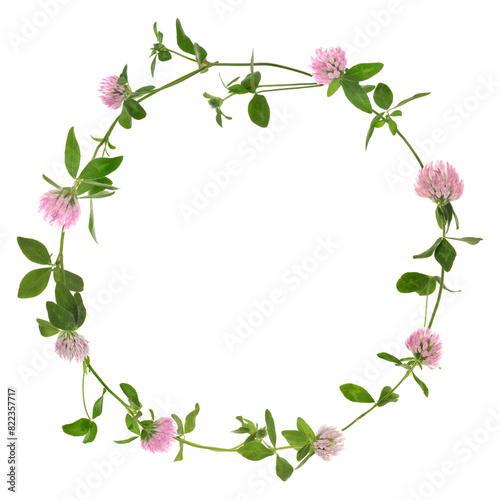 Wreath of beautiful wild flowers isolated on white