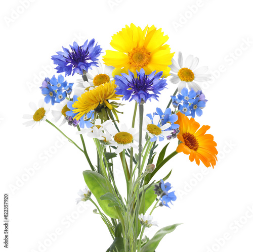 Bouquet of beautiful meadow flowers isolated on white © New Africa