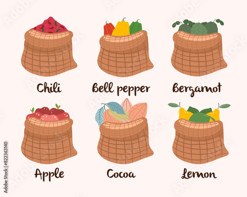 collection of vegetables, chili, bell pepper, bergamot, apple, cocoa and lemon. Vector illustration.