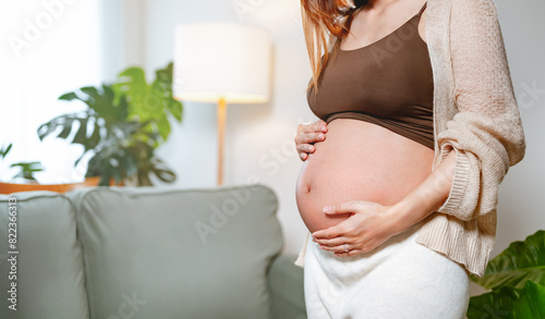 pregnancy, abdomen, motherhood, maternity, pregnant, parenthood, mother, mom, family, parent. A woman is pregnant and is holding her stomach. as the woman is surrounded by a cozy living room. Free Download pregnancy, abdomen, motherhood, maternity, pregnant, parenthood, mother, mom, family, parent. A woman is pregnant and is holding her stomach. as the woman is surrounded by a cozy living room. - GFXLoad