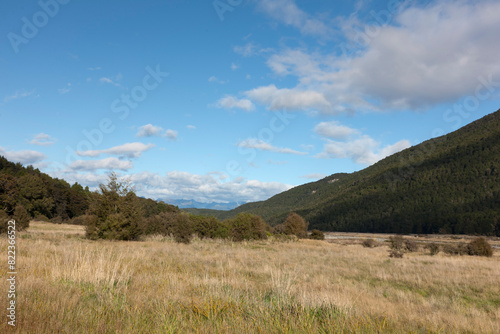 New Zealand landscape on a sunny winter day