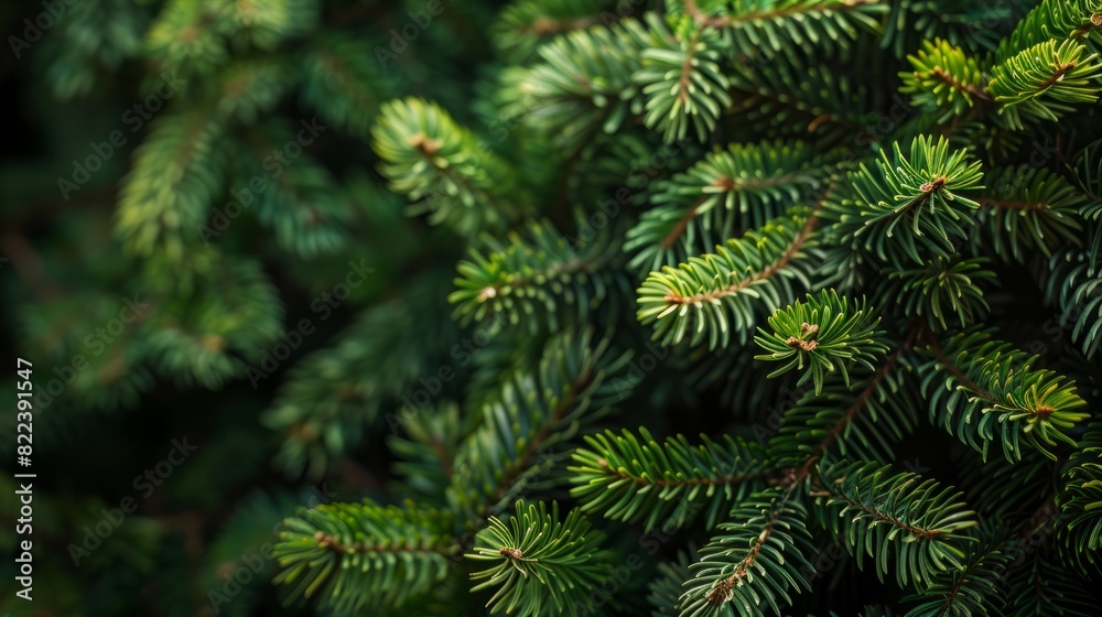 Macro christmas tree background