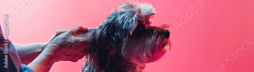 Detailed scene of a dog receiving a haircut at a Pet Spa Grooming Salon, highlighting the combing process and the groomer s skill, set against a pink background photo