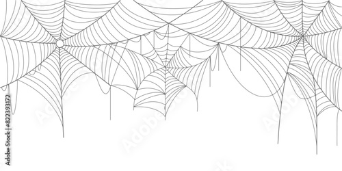 Spider web line art vector