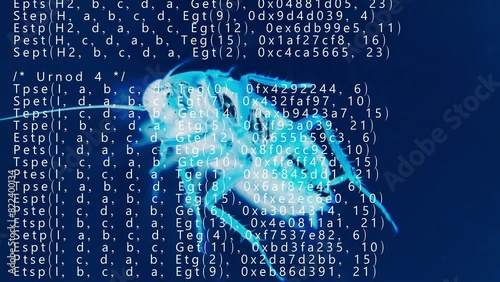 A big ugly cockroach (x-ray silhouette) laying over fast scrolling source code on a screen (scrambled encrypted instructions), symbolizing an annoying computer bug.
