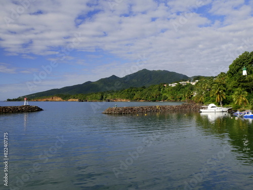 the harbor of Trois Riviere in guadeloupe in the morning; Landscape with port and hill in caribbean island photo