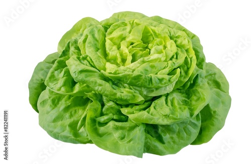 Green lettuce isolated over white background