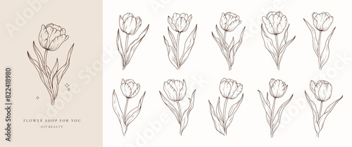 Tulip line art sketch flower. Hand drawn tulips bouquet black drawing. Abstract floral leaves. Vector illustration in outline style