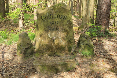 stein der Geisbornquelle bei dörrenbach im pfälzerwald