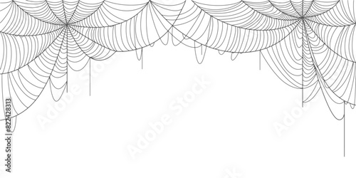 Spider web line art vector