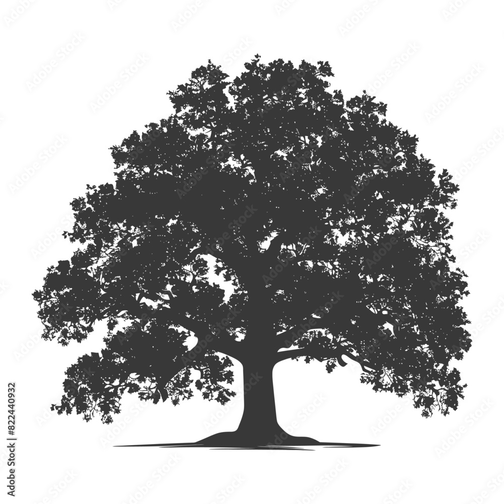 Fototapeta premium Silhouette oak tree full black color only