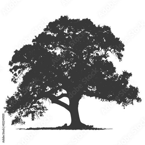 Silhouette oak tree full black color only