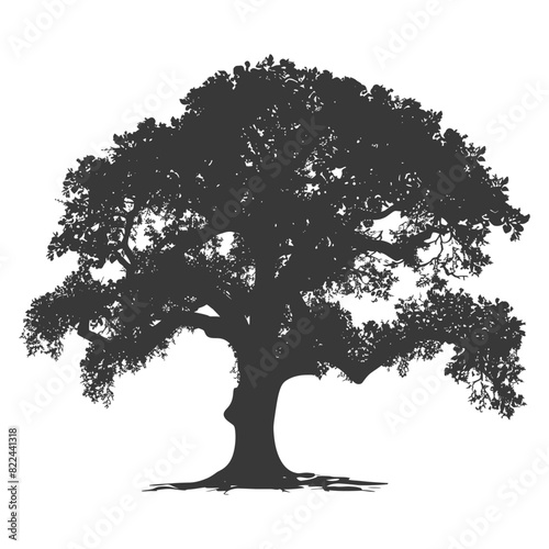 Silhouette oak tree full black color only