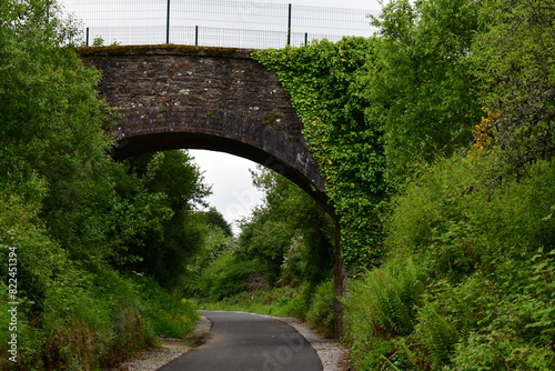 Old stone bridge. New Ross Greenway, New Ross, Co. Wexford, Ireland