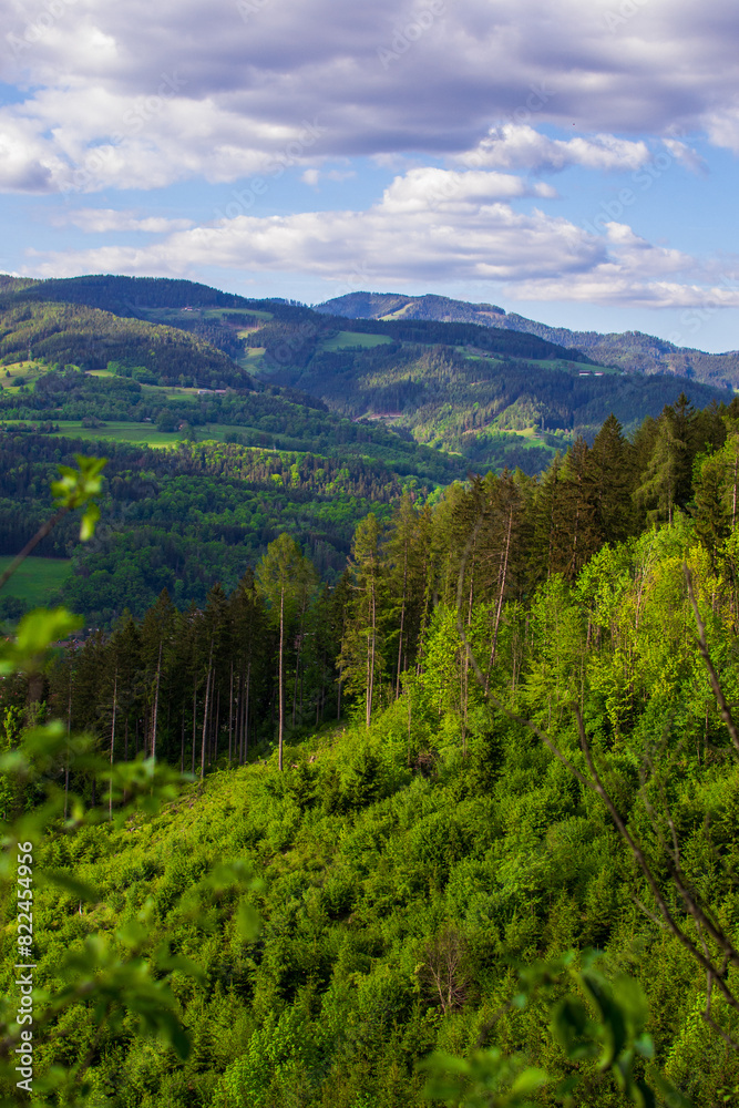 Obraz premium View of mountains covered with green forests against a cloudy sky