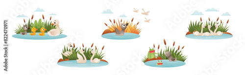 Ugly Duckling Fairy Tale with Little Birdie Vector Set