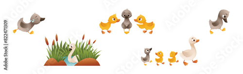 Ugly Duckling Fairy Tale with Little Birdie Vector Set