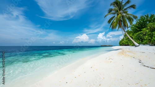 White sandy beach with palm tree background.