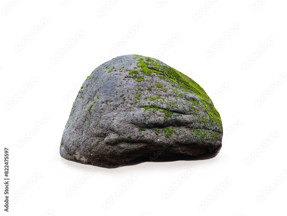 moss growing on stone isolated on white background moss growing on stone isolated on white background