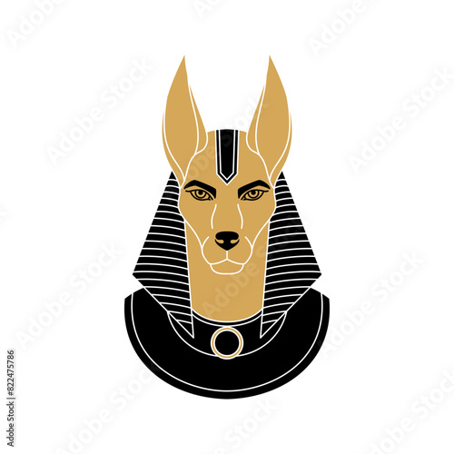 Anubis the god of ancient Egypt.