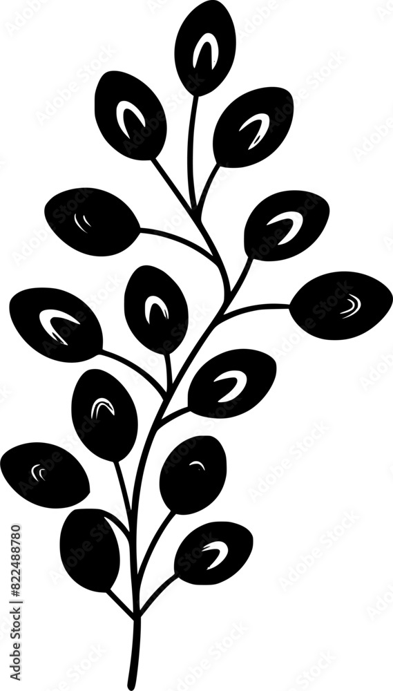 Botanical Illustration, Botanical Design Element Botanical Illustration, Botanical Design Element
