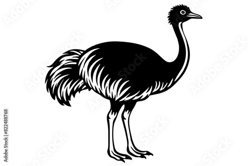 emu vector silhouette illustration