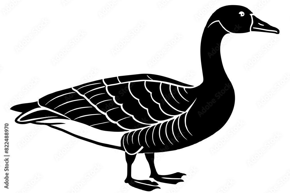 gander vector silhouette illustration