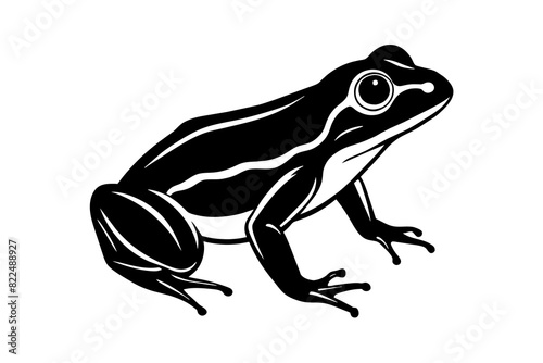 frog vector silhouette illustration