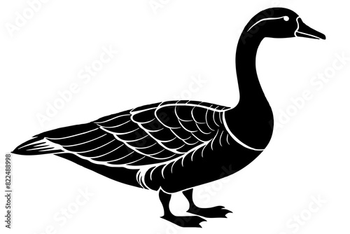 gander vector silhouette illustration
