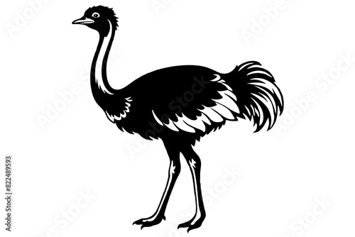 ostrich vector silhouette illustration