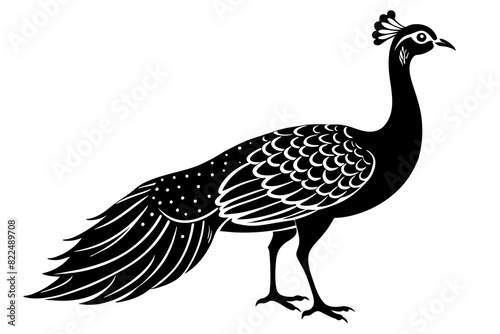 peahen vector silhouette illustration