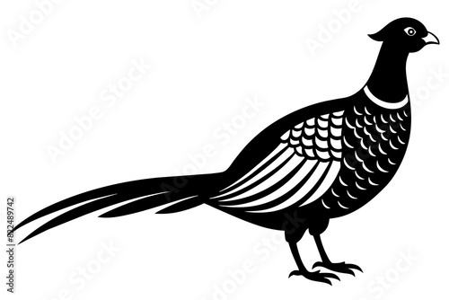 pheasant vector silhouette illustration