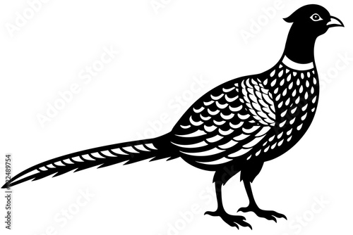 pheasant vector silhouette illustration