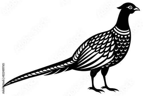 pheasant vector silhouette illustration