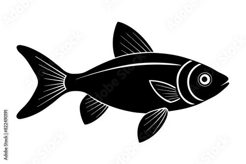 tetra vector silhouette illustration