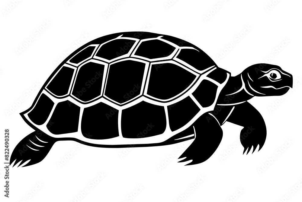 turtle vector silhouette illustration turtle vector silhouette illustration