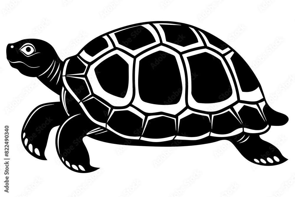  turtle vector silhouette illustration
