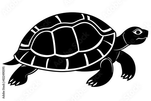  turtle vector silhouette illustration
