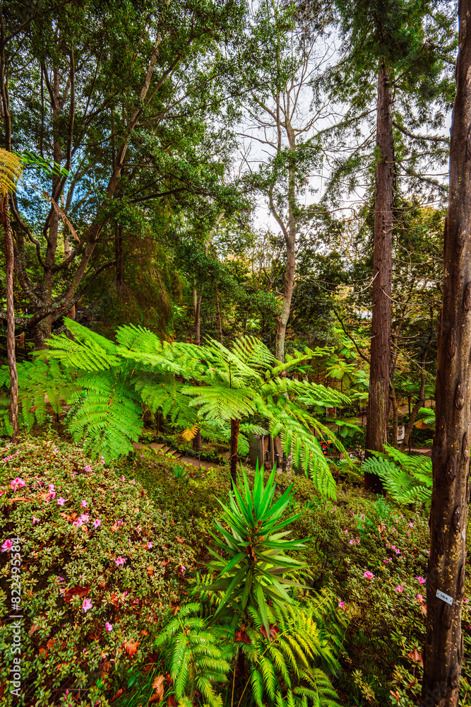 Monte Palace, Tropical Garden with Waterfalls, Lakes and traditional buildings above the city of Funchal Monte Palace, Tropical Garden with Waterfalls, Lakes and traditional buildings above the city of Funchal