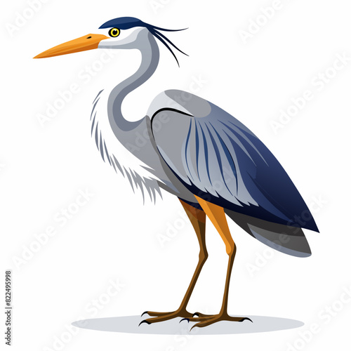 a-full-body-heron--white-background