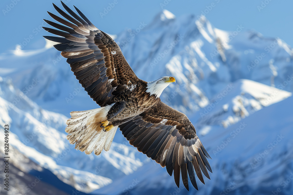 Obraz premium Majestic eagle soaring high above snow-capped mountains under a clear blue sky, showcasing its impressive wingspan.. AI generated.